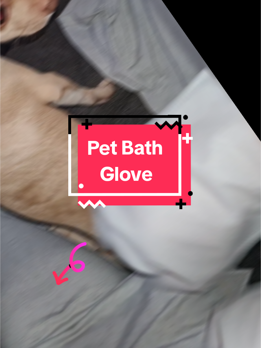 #doobiethechihuahua #bath #glove #creatorsearchinsights #smahay11 #smahaydesigns 