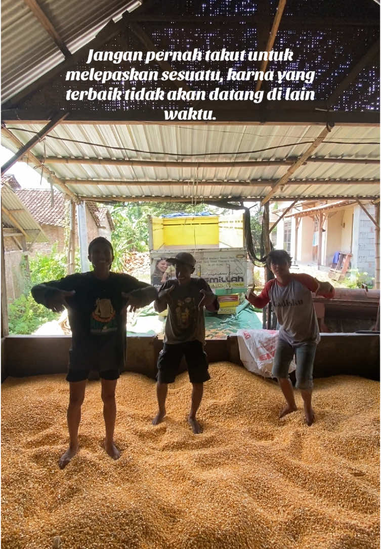 Bocae tampil neh bolo 🌽 #jagung #jagungkering #fyp #fypage #fyppppppppppppppppppppppp #funkotiktok #funkotremix #funkotasik #kediri24jam #jagungbalap🌽 #goyang #goyanggemasmochibaby 