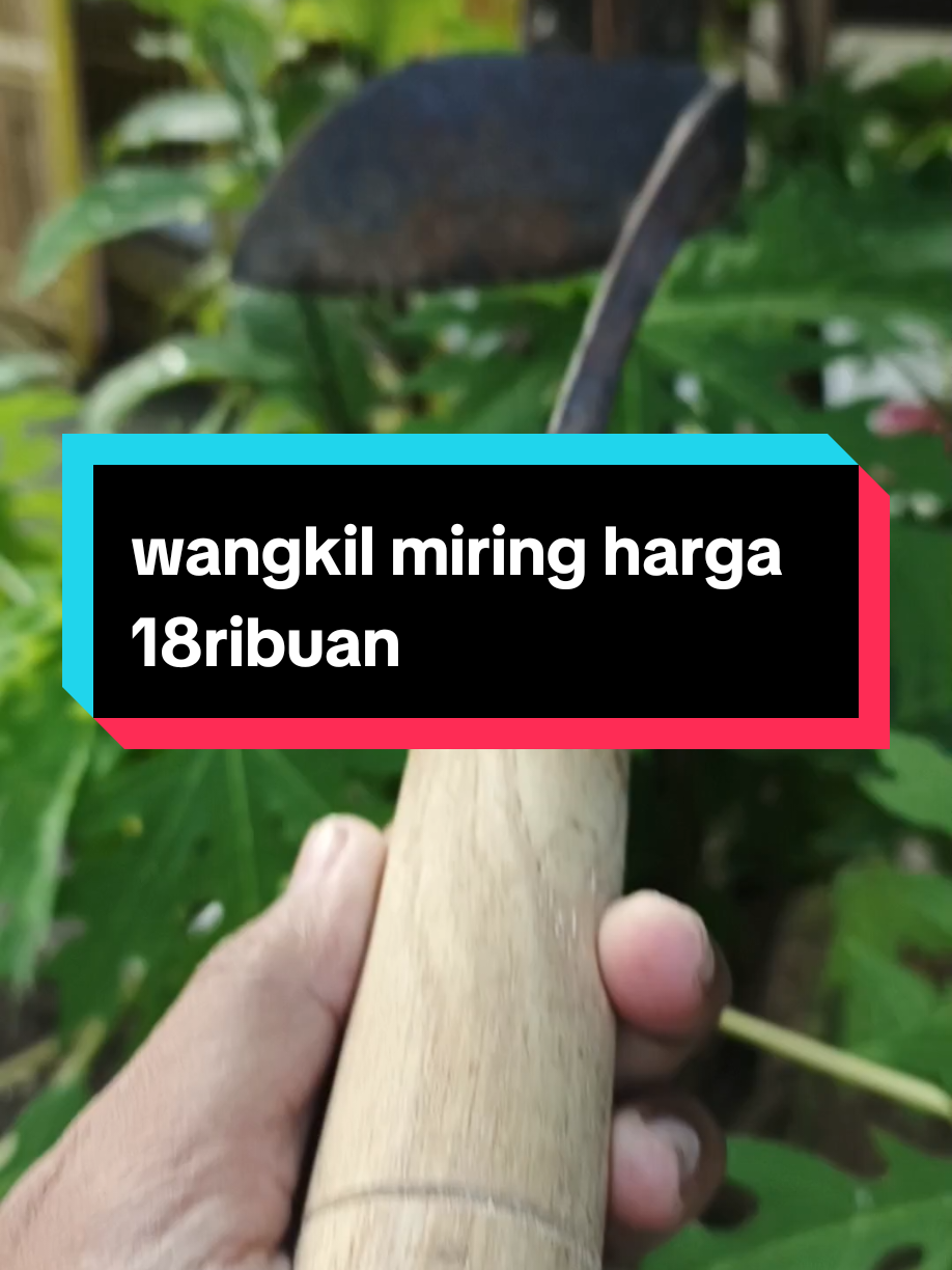 wangkil miring untuk membersihkan rumput #wangkil #wangkilmiring #gathol #alatkebun #petani 