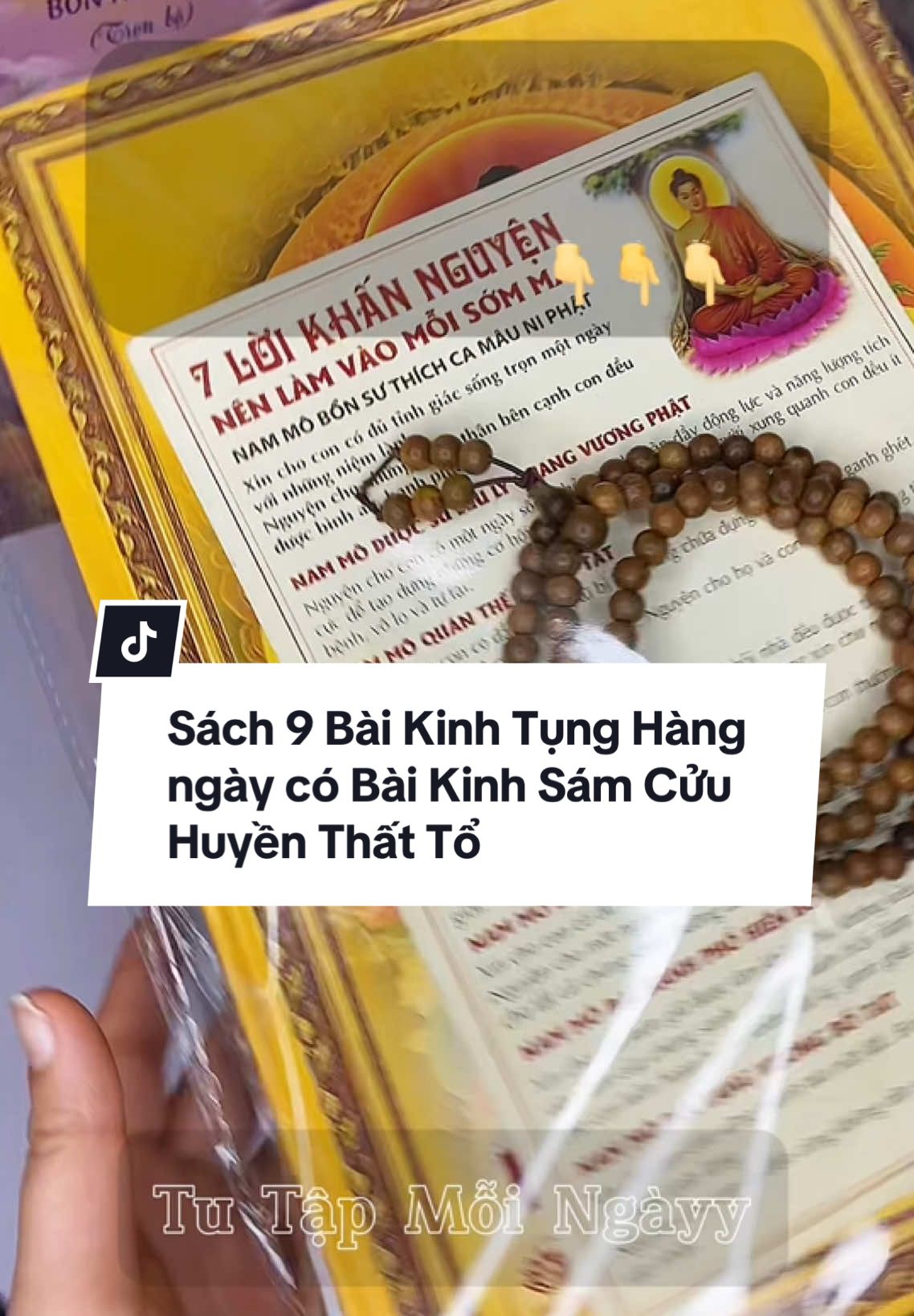 Sách 9 bài Kinh Tụng hàng Ngày phổ biến! Dành cho Người mới bắt đầu Tu tập tại gia👇👇👇 #lênxuhuong #phatphapnhiemmau #viral #dockinh #sach9baikinhtungphobien ##kinhsamcuuhuyenthatto
