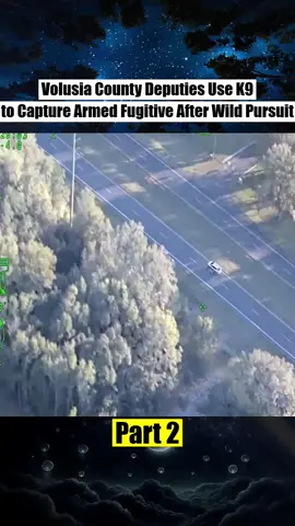 Volusia County Deputies Use K9 to Capture Armed Fugitive After Wild Pursuit_Part2 #cops #copsoftiktok #copsontiktok #police #dashcam #policechase #foryou #fyp
