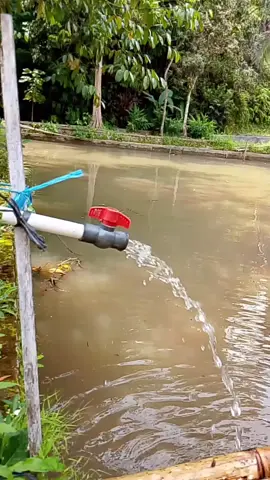 masih di suasana kampung cinyungsang Lengkongjaya cigalontang Tasikmalaya  #travelwithlove  #kampungviral  #fyp 