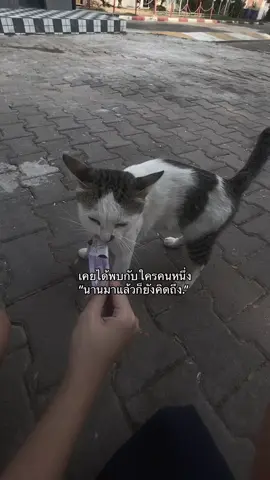 #เธรด #คนละใจ #ฟีดดด #คนคุยเก่าคนโปรด #tiktok 