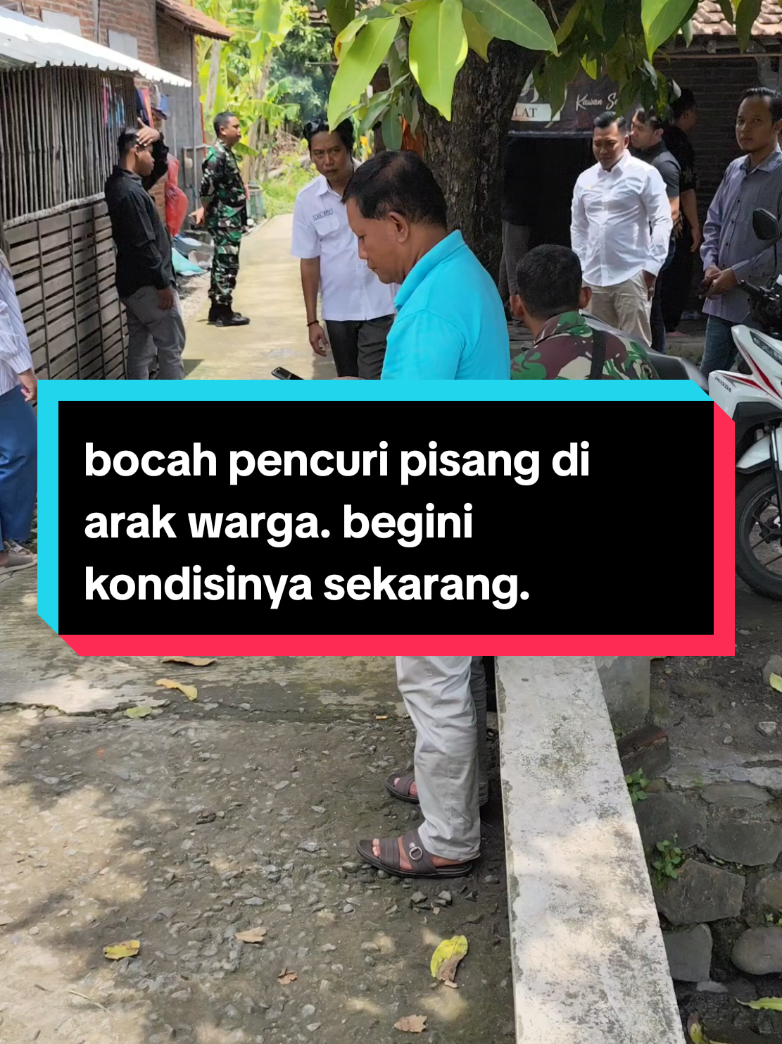 sempat viral beberapa hari lalu, seorang bocah berusia 17 tahun asal desa Rejoagung kecamatan trangkil, pati jawa tengah, di arak warga karena kedapatan mencuri empat tandon pisang milik warga di desa gunungsari kecamatan tlogowungu. beginilah suasana rumahnya. ia tinggal bersama adiknya dan kakek neneknya. banyak dermawan yang datang untuk membantu salah satunya adalah @gusmiftah99 yang langsung mengutus utusan untuk membantu dan menawarkan beasiswa untuk A dan adiknya. #malingpisangdipati #diarakwarga #malingpisang #anak #remaja #rejoagung #infopati #pati #trangkil #tlogowungu #fyp #fyppppppppppppppppppppppp 