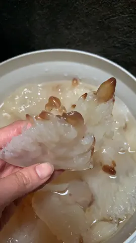 Cách bảo quản sứa cho bác nào chưa bít ak!#sứa #sứa🐙 