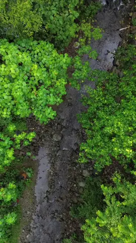 RTH #drone #dronecrash 