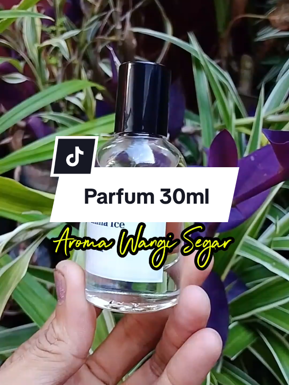 Parfum 30ml All Varian Aroma  Parfum Premium 30 ML adalah pilihan tepat bagi Anda yang ingin memberikan aroma wewangian yang tahan lama sepanjang hari. Parfum ini terbuat dari bahan berkualitas tinggi sehingga memberikan aroma segar dan wangi yang tahan lama. Anda tidak perlu khawatir akan kualitasnya. Parfum Premium ini memiliki aroma yang menyegarkan dan cocok digunakan dalam segala suasana, baik formal maupun informal. Anda dapat menggunakannya saat bekerja, berkumpul dengan teman, atau bahkan saat menghadiri acara formal. Parfum ini akan memberikan kesan yang elegan dan mewah pada penampilan Anda. Dengan menggunakan Parfum Premium Anda akan merasakan sensasi mewahnya. Parfum ini memberikan aroma yang tahan lama sehingga Anda tidak perlu khawatir akan kehilangan aroma segar dan wangi pada tubuh Anda. Parfum sehingga Anda dapat menggunakannya dengan tenang dan nyaman. Jangan ragu untuk memilih Parfum Premium sebagai pilihan Anda. Dapatkan sensasi mewahnya sekarang juga dan nikmati aroma segar dan wangi yang tahan lama pada tubuh Anda. Happy Shopping Guys MM STORE TANGERANG #parfum #parfumereccomended #wangitahanlama #wangiseharian #perfume #parfumviral #semuaorang #rekomendasiparfum 