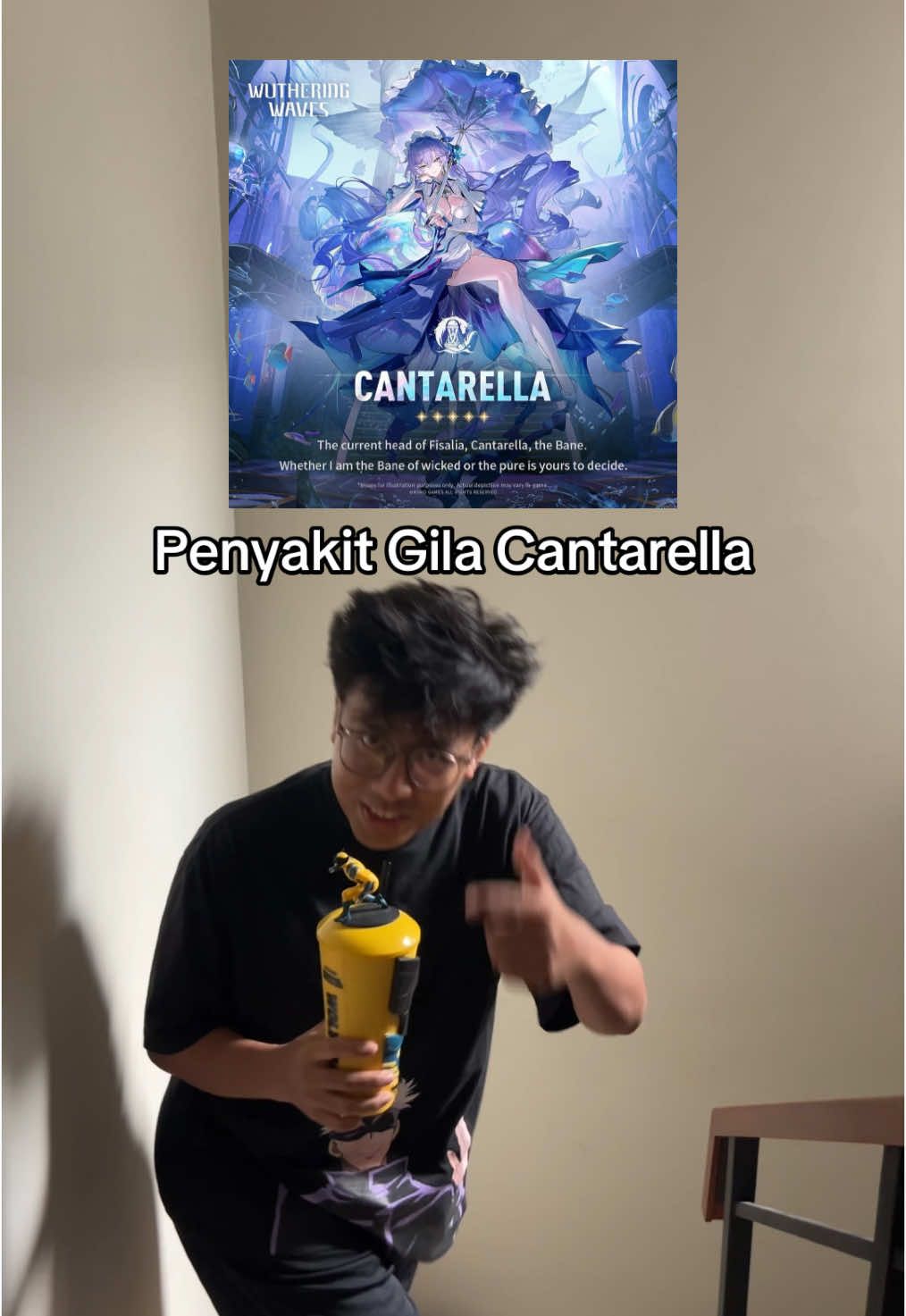 Gimana sembuhnya jon? #wutheringwaves #cantarella 