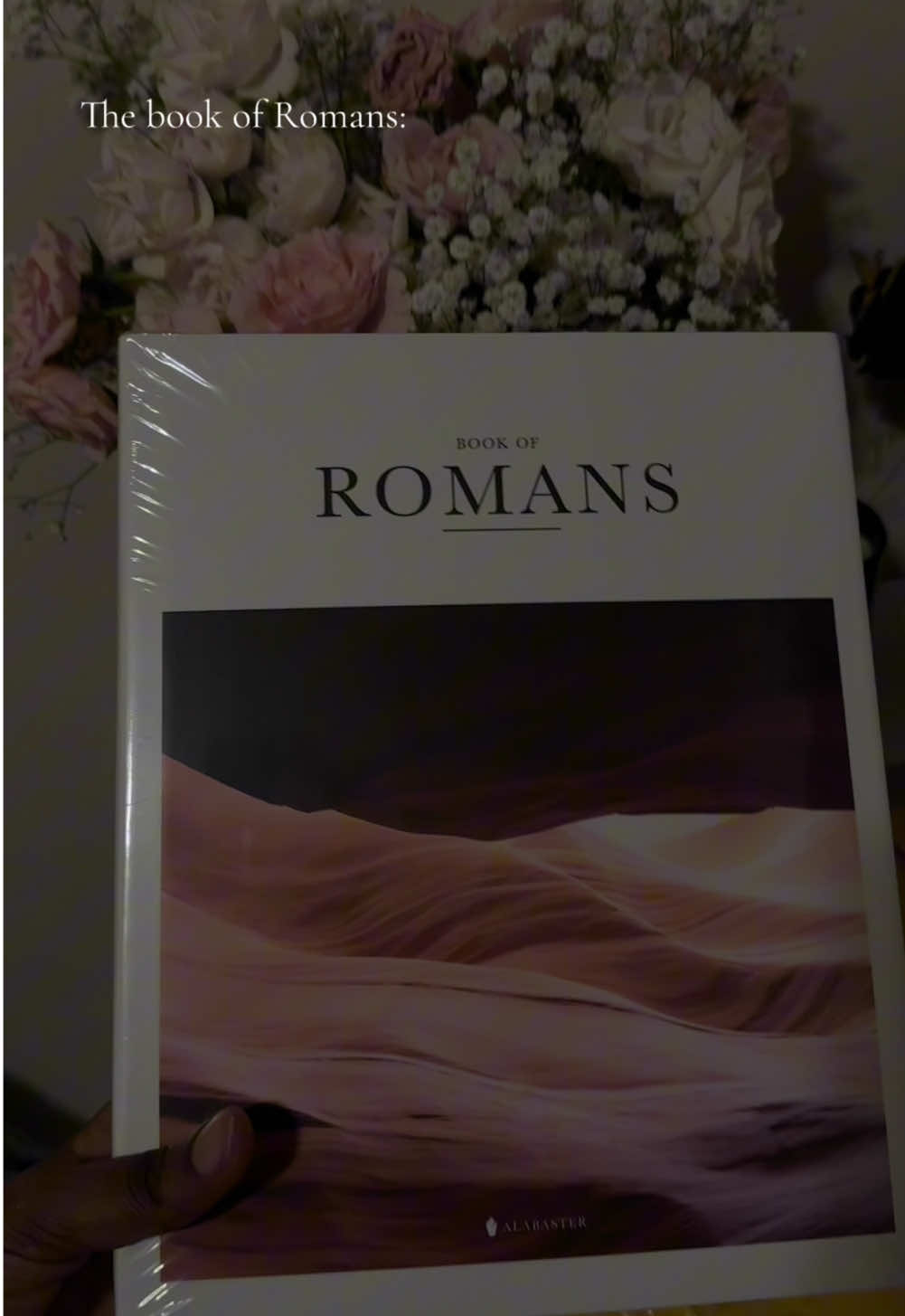 the book of romans…..                                                 #bookofromans #bible #romans #christiantiktok Ty @Alabaster Co 