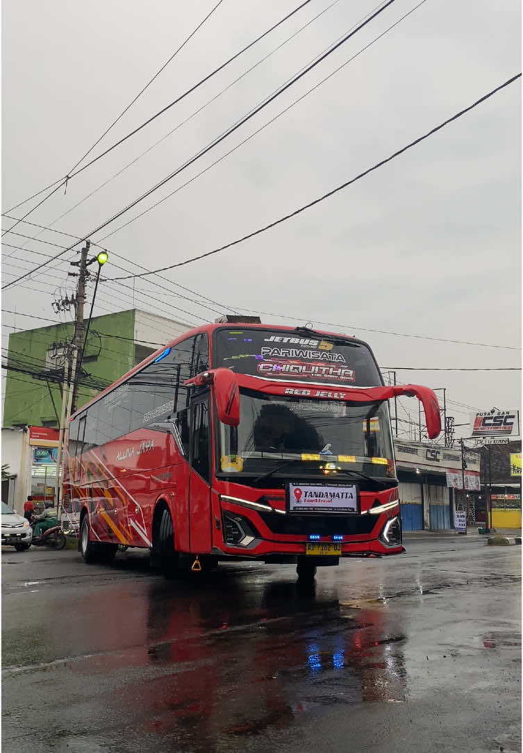 modul baru nih Red Jelly✨ #alunajayatrans #basuri #fypツ #trend #adiputro 