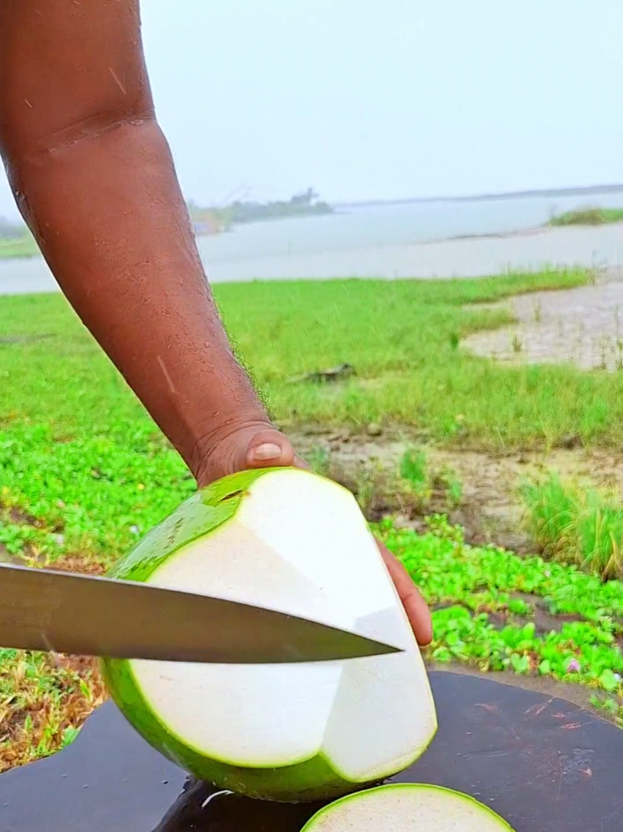 motong kelapa enaka banget #coconutcutting #satisfying 