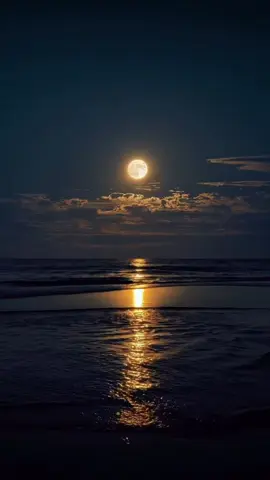 Luna dile que la Amo dile que la Quiero.#lunadilequelaamo #musi #paradedicar #musica #estadosparawhatsapp #status #indirectas #dedicala #statuswhatsapp #rolasparaestados #indirectasdirectas #viralmusic 