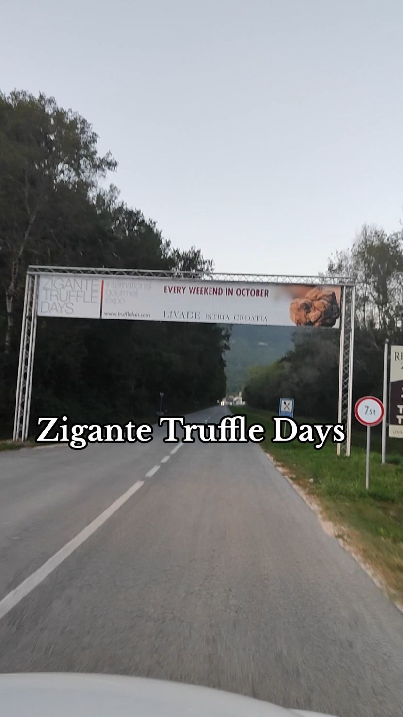 THROWBACK SATURDAY: ZIGANTE TRUFFLE DAYS 2023 ✨❤️ Terra Magica indeed. I still cannot believe that we got to live here. Gratitude! Thanks for the memories, @Zigante Tartufi  #truffles #croatia #istria #hrvatska #balkans #food #FoodLover #foodies #Festival #delicious #throwback #yummy #worldtok #EUtok #eurotok #enjoy  #europe  #nourishwithdaryl