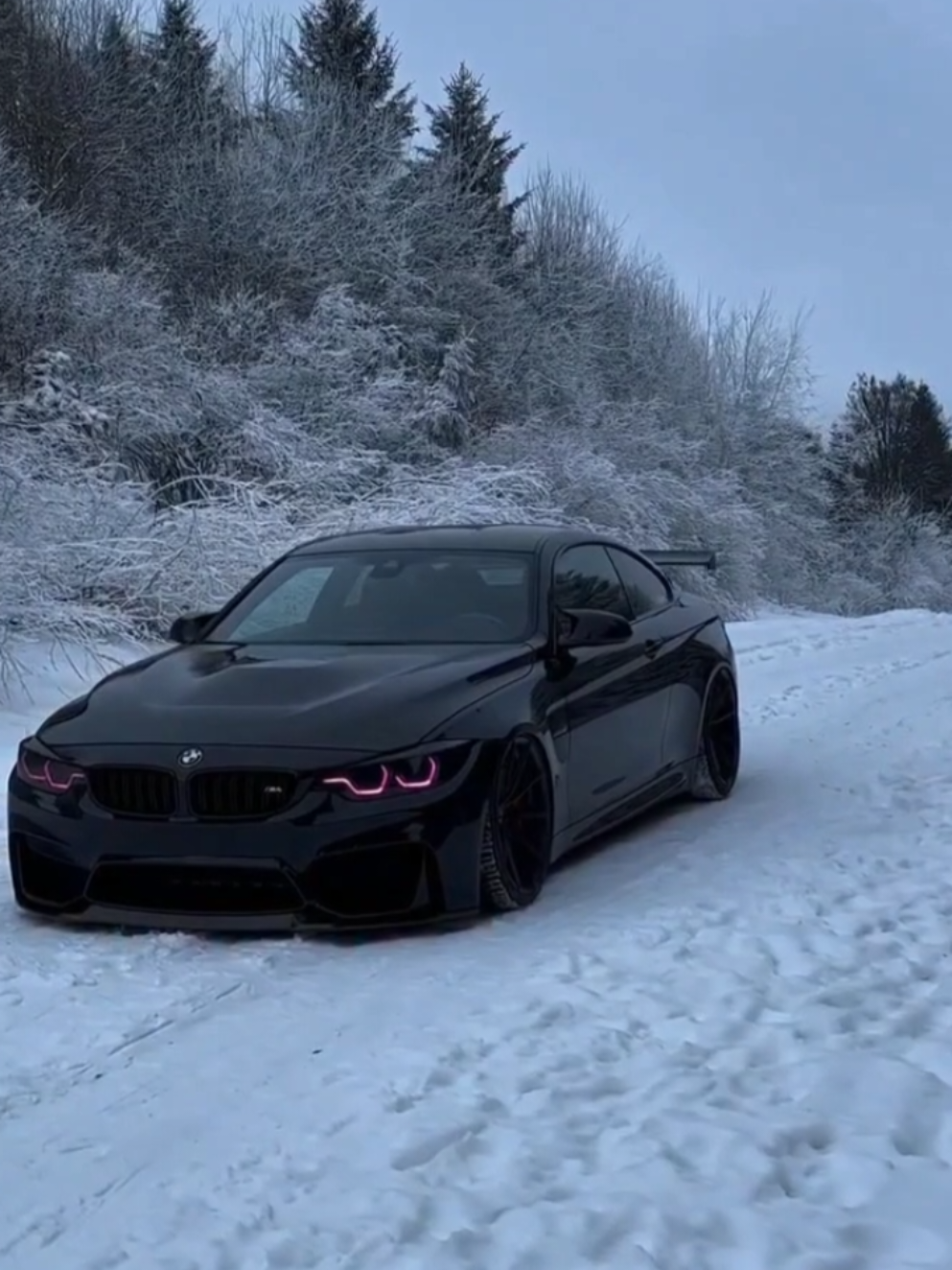 ALPHA CAR BMW 🐺 #Alpha #car#Dark #wolf#power