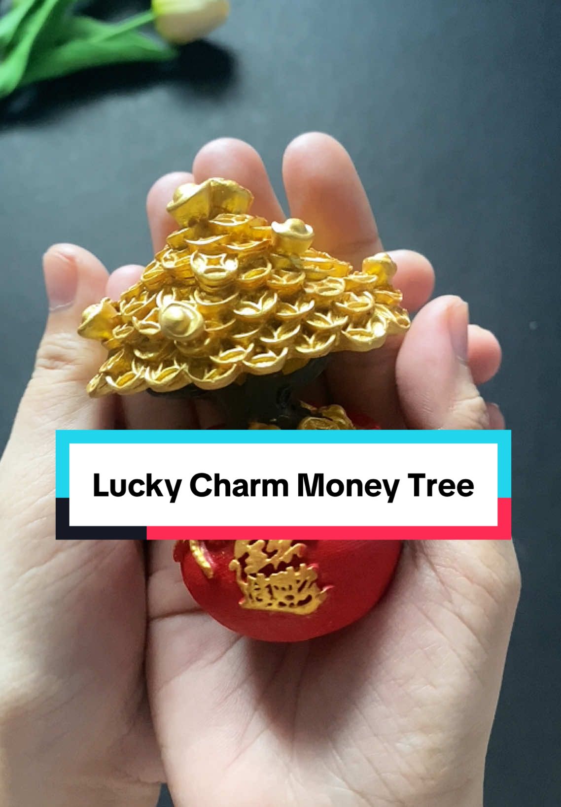 Attracts Wealth and Prosperity Lucky Charm Money Tree bes😇💰 #moneytree #luckycharm #pampaswerte #aenttandem 