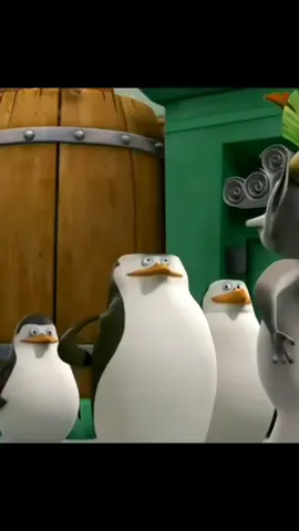 #onthisday #reposting #recap #animeedit #fyp #fypviral #animation #madagascar #peguinsofmadagascar #kingjulien #suceed #relatable #tiktokparadox #reels #funnyvideo #randompost #random #jondperriesfyp 