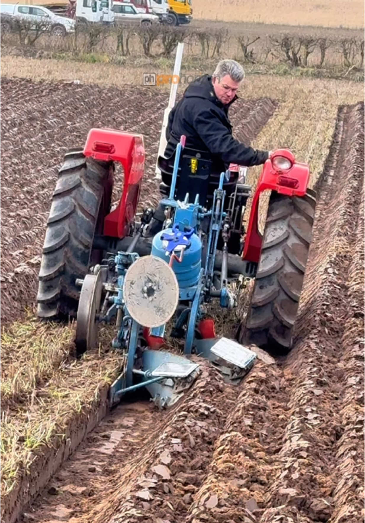 Here is a Massey Ferguson 135 tractor ploughing at a recent match ploughing practise day #masseyferguson #massey135 #matchploughing #ploughing #tractorrok 