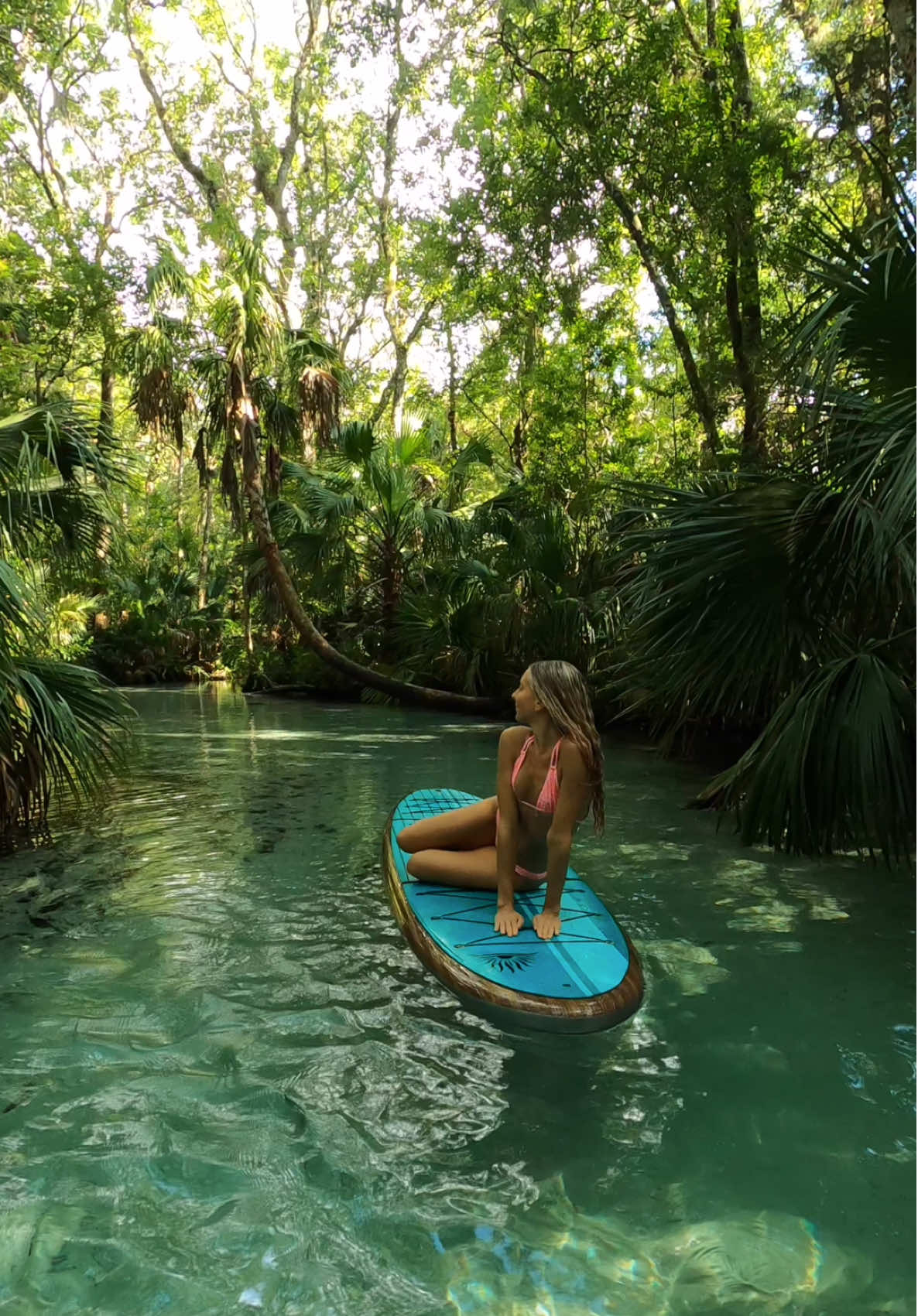 A relaxing day in nature🌸🐠✨ #nature #forest #florida #floridasprings #travel 