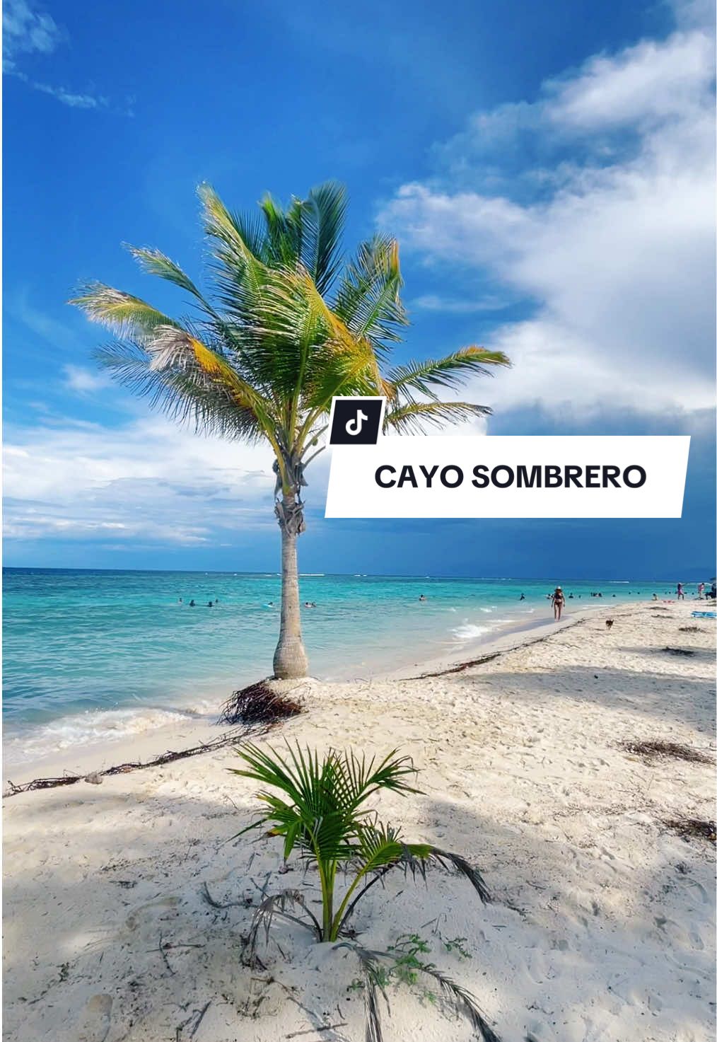 Impresionante video de Cayo Sombrero uno de los mejores del Parque Nacional Morrocoy. Para ti cuál es tu favorito?  #cayosombrero #cayosombrerovenezuela #parquenacionalmorrocoy #morrovoyvenezuela #playas #playasdevenezuela 