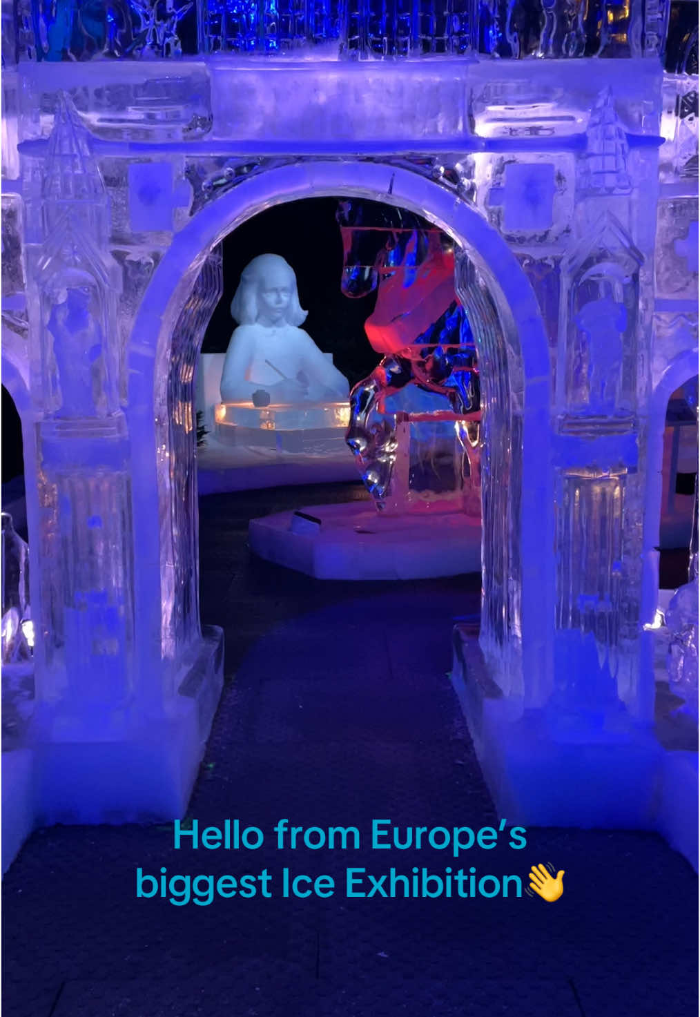 Hello from Europe’s biggest ICE exhibition ❄️👋 @𝐀𝐑𝐓 𝐁𝐄𝐋𝐎𝐖 𝐙𝐄𝐑𝐎  #amsterdam #netherlands #amsterdamlife #amsterdamguide #amsterdamcity #travel #travellover 