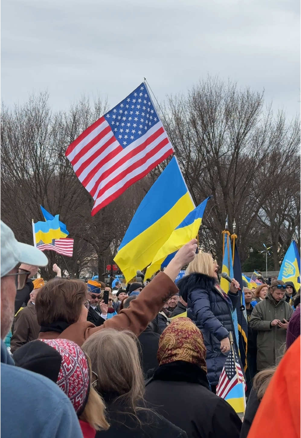 2/22 Ukrainian protests in March in Washington DC 