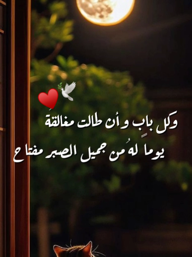 يارب 🤲🥺#رمضان_كريم #رمضان_يجمعنا #دعاء_مستجاب #ادعية_اسلامية_تريح_القلب #ماهرالمعيقلي #رمضان #دعاء_عظيم #رسالة_اليوم #دعاء_عظيم_يستحق_النشر🥀 #ادعيه_اذكار_تسبيح_دعاء_استغفار #الحمدلله_دائماً_وابداً💚🌧️🤲 #يارب_فوضت_امري_اليك #عراق #ماما #ابي 