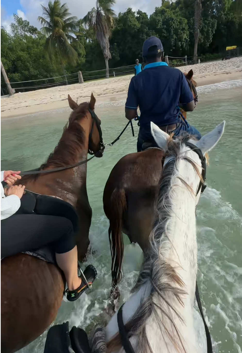 Unforgettable✨🐎🏝️#jamaica #fyp 