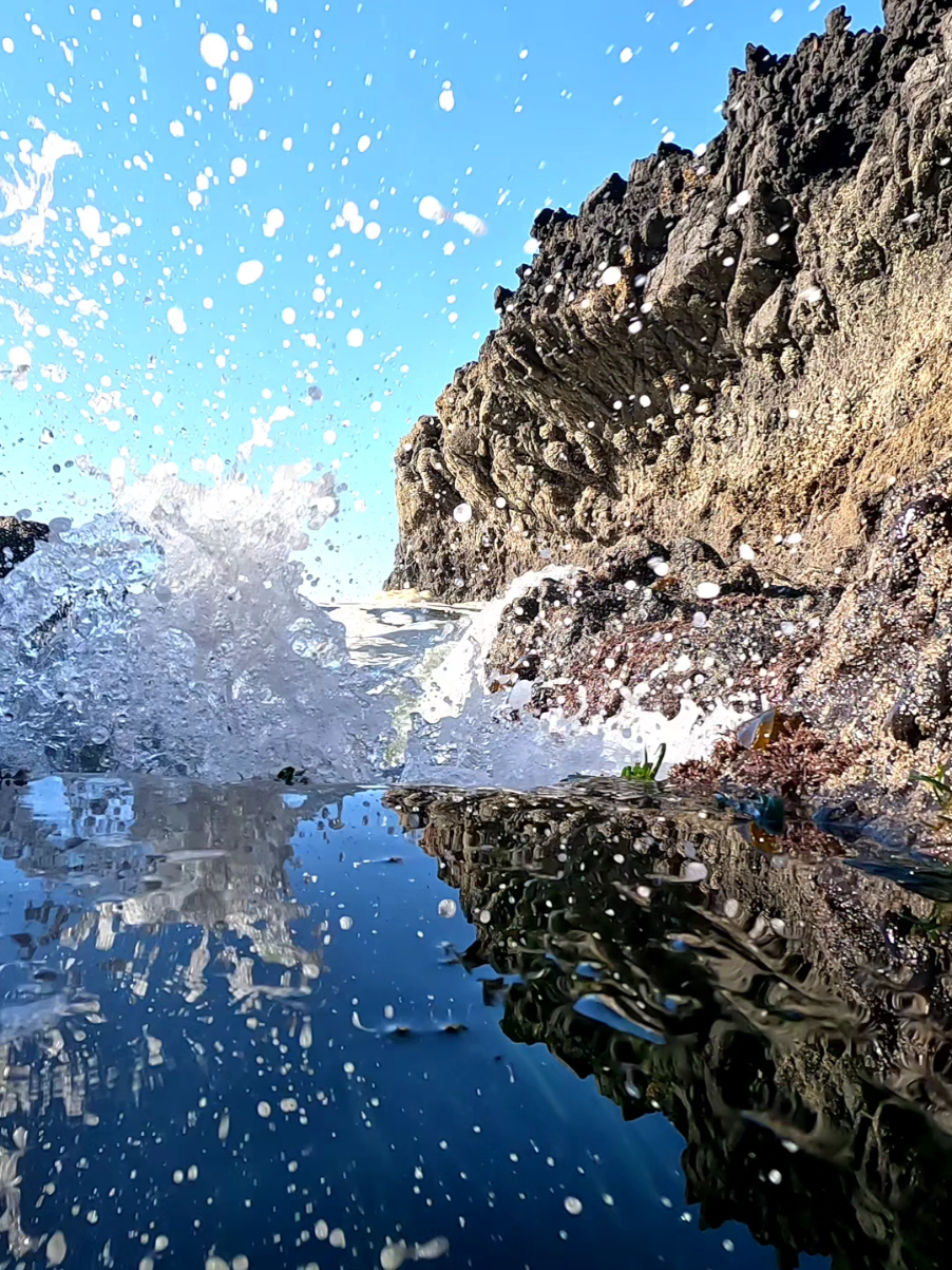 The sound of the sea will set you free ✨️  #sea #ocean #waves #water #oregon #pacificnorthwest #oregoncoast #explore #adventure #nature #calm 