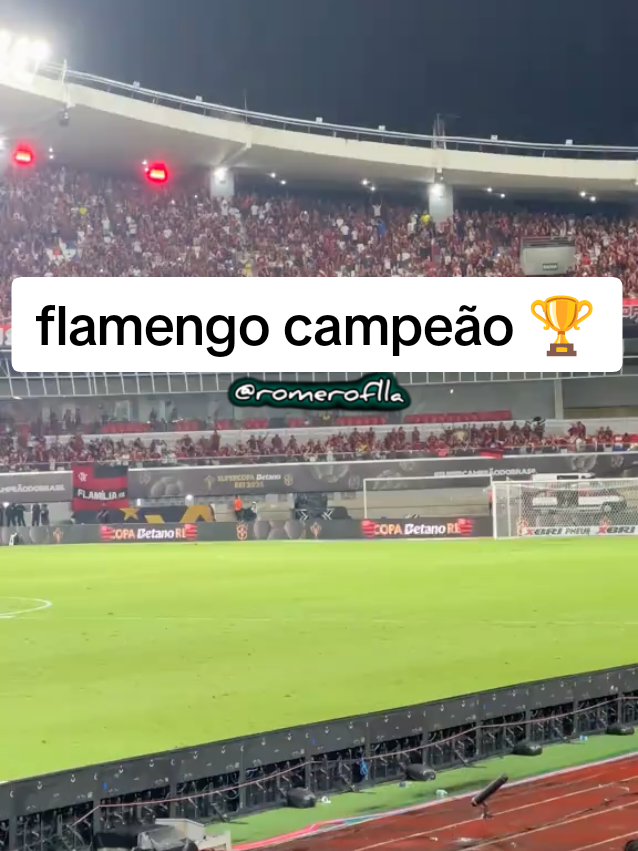 flamengo campeão #futebolbrasileiro #flamengo #flamenguista 