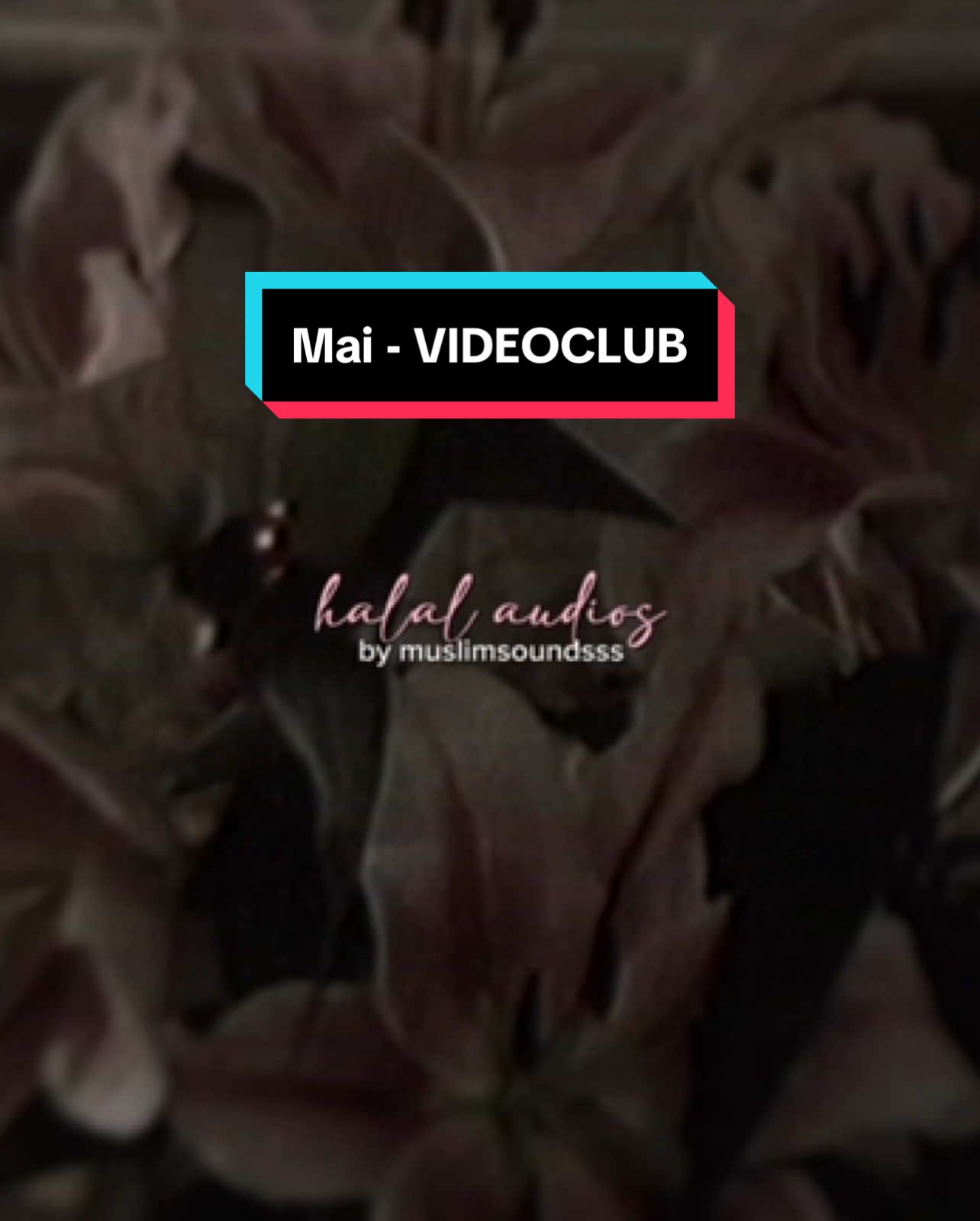 #maivideoclub #videoclub #frenchsong #pourrionsnousrevenirsurcettehistoire #halalaudios #halalsounds 