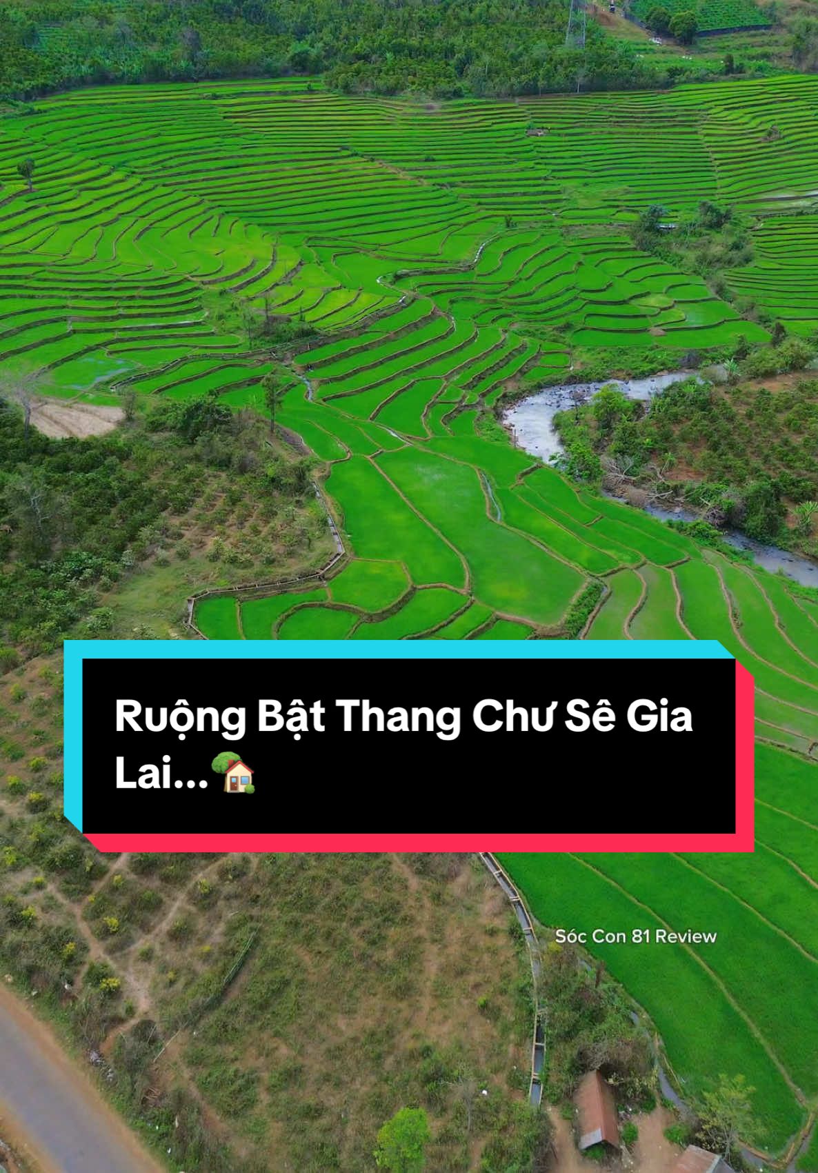 Ruộng bậc thang ở Gia Lai Mọi Người Đã Đi Chưa? 📍Chư Sê. Gia Lai... #vuichoicungtiktok #review #reviewpleiku #reviewgialai #soccon113 #soccon81 #soccon81review #soccon114 #fyp #canhdep #CapCut 