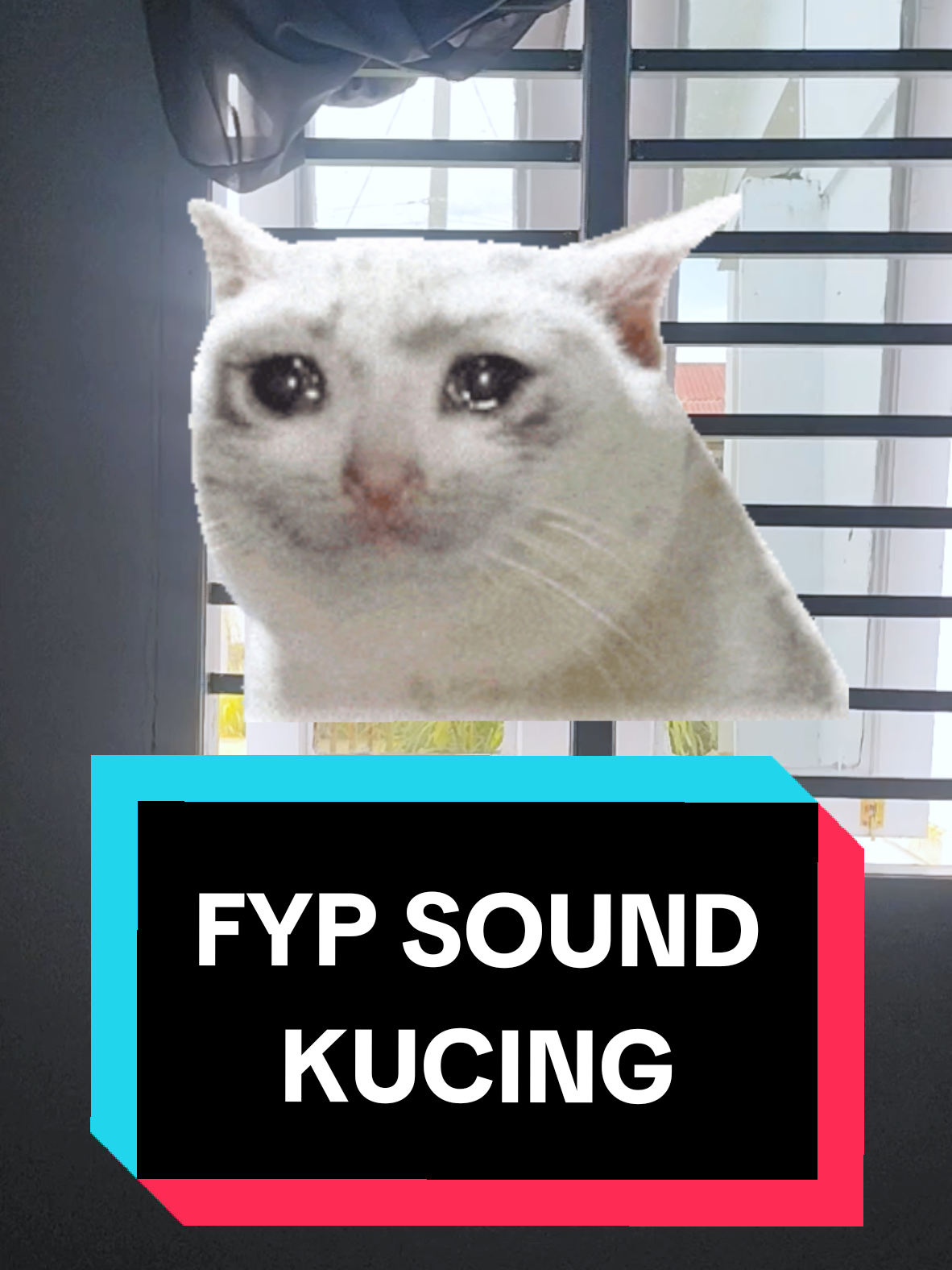 fyp gw sound ini pokoknya, ampe jutaan yg nonton. #kucing  #kucinglucu  #kucingtiktok  #kucinggemoy  #kucingoren  #fyp 