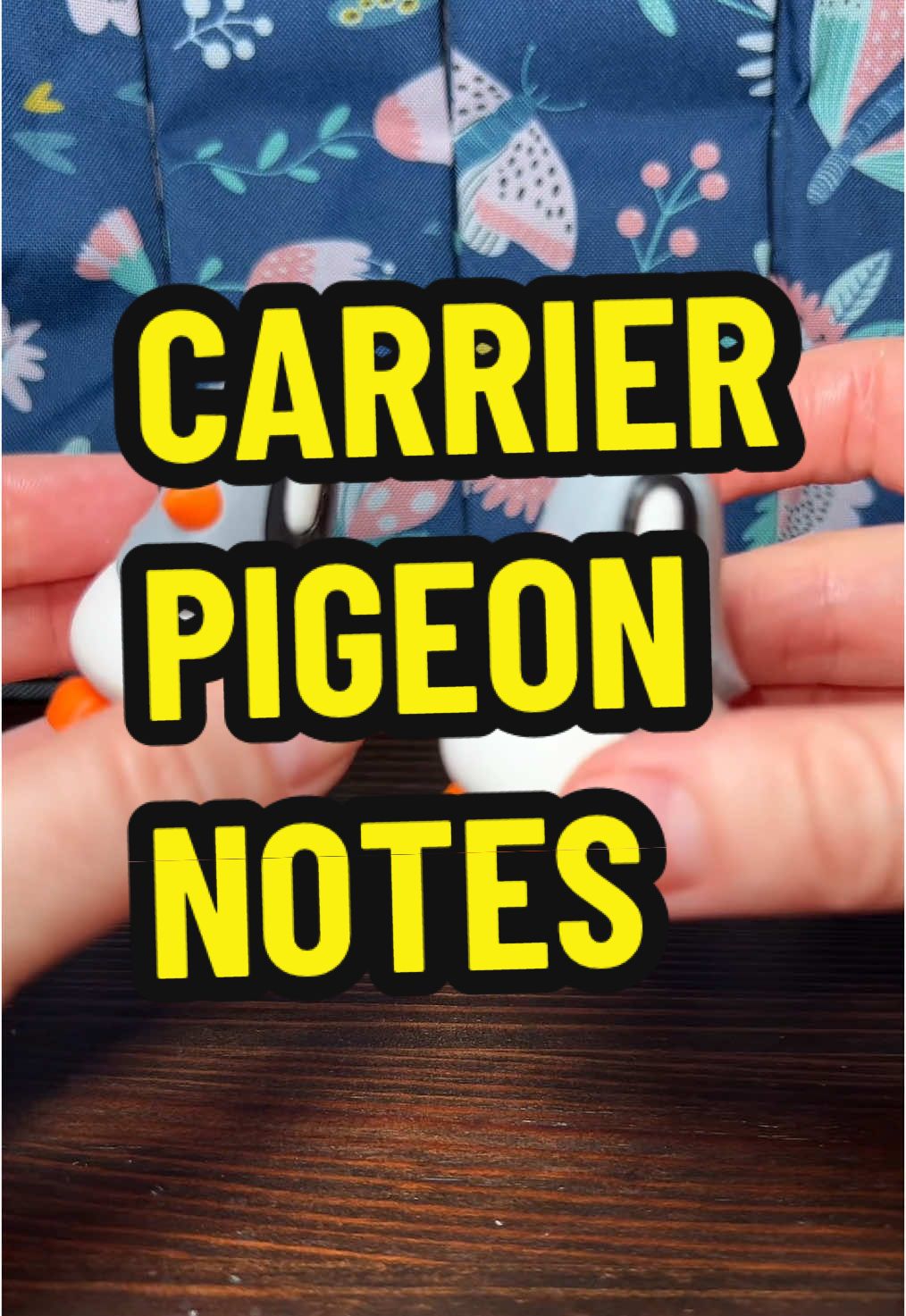 Taylor Made Gifts mini carrier pigeons are the cutest way to send secret messages or add a whimsical touch to your decor. Perfect for writers, romantics, and anyone who loves unique handcrafted details. #ttslevelup #creatorboostcamp #treasurefinds #toptierfebruary #ttsdelight #tastemakerslaunch #ttstakeover #tiktokshopcreatorpicks #ttsdelightnow #tiktokshopjumpstartsale #tiktokshoploveatfirstfind #goalcrusherprizes #seasonalgems #lovelanguage #ttsdelightnow #tiktokshopspringglowup #shopblackowned #tiktokshoprestock #springintohealth #giftideas #homedecor #cuteaesthetic #pigeonlove #smallbizfinds #uniquefinds #handcraftedgifts #secretmessage #adorabledecor #giftguide #whimsicalstyle #stationeryaddict #writerlife 