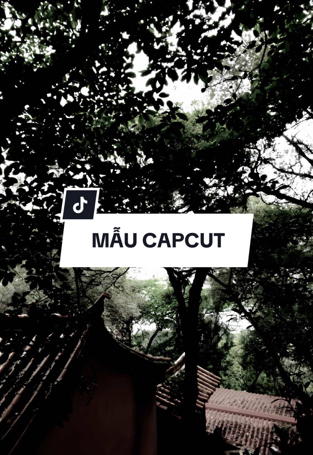 #CapCut + 1 máy đổ vỏ cho kẻ đến sau..#viral #maucapcut #nhachaymoingay #xuhuong 