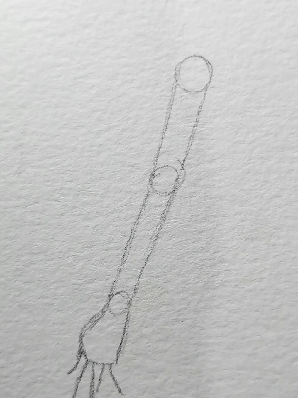 draw girl arm #anime #sketch #manga #draw #art #tutorial 