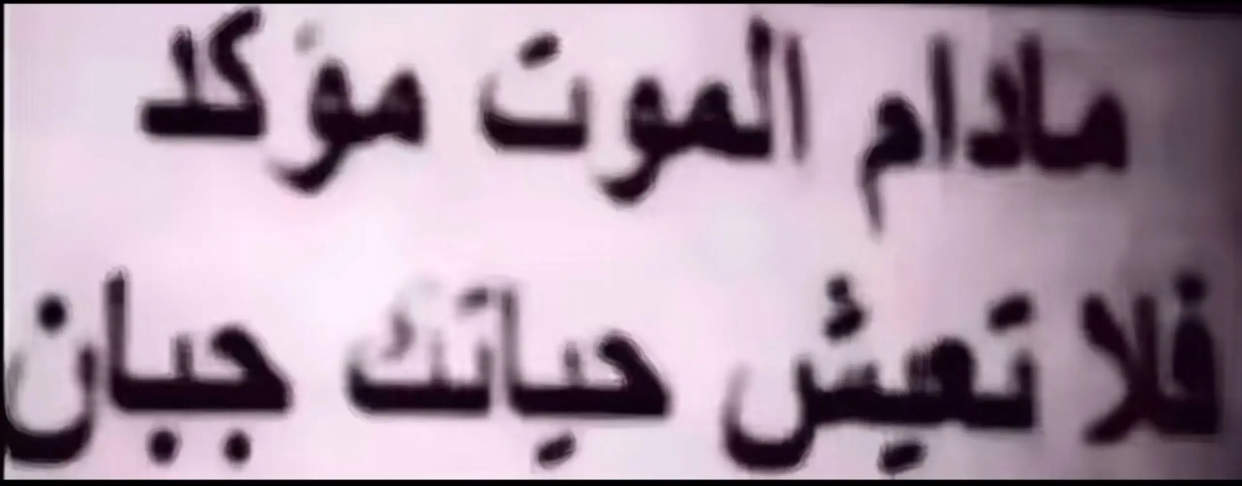 #الشعب_الصيني_ماله_حل😂😂 