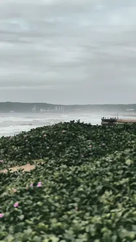 Starting the day with breathtaking ocean views in Durban. The Golden Mile is shining bright today! #DurbanBeach #GoldenMile #SouthAfricaTourism #OceanLover #BeachLife #KZN #Travel #Explore #weekend #durban #southafrica #ocean #waves #water 