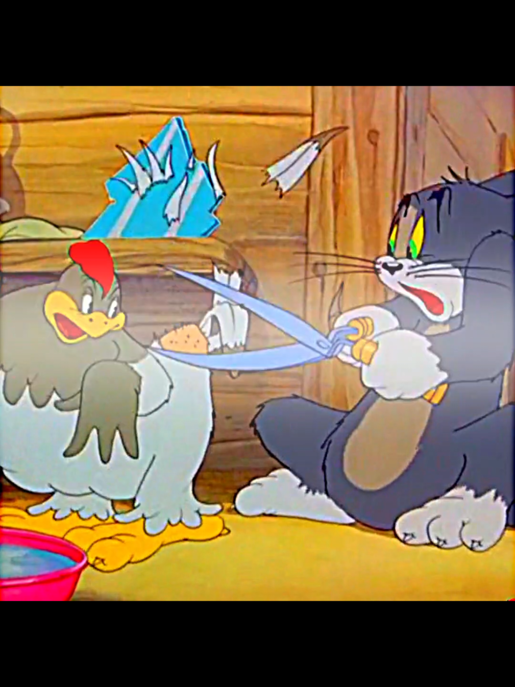 Today is cold day🏥 Tom seems to have caught a cold🐱💦 But the duckling doesn't care about the cold✨ Everyone, be careful of catching a cold💦 #TomAndJerry #TomJerry #ColdDay #Cold #tomandjerry #cartoon #animation 