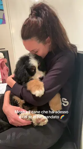 Gnomo e Bracchetto 😢🌈❤️ #bernesemountaindog 