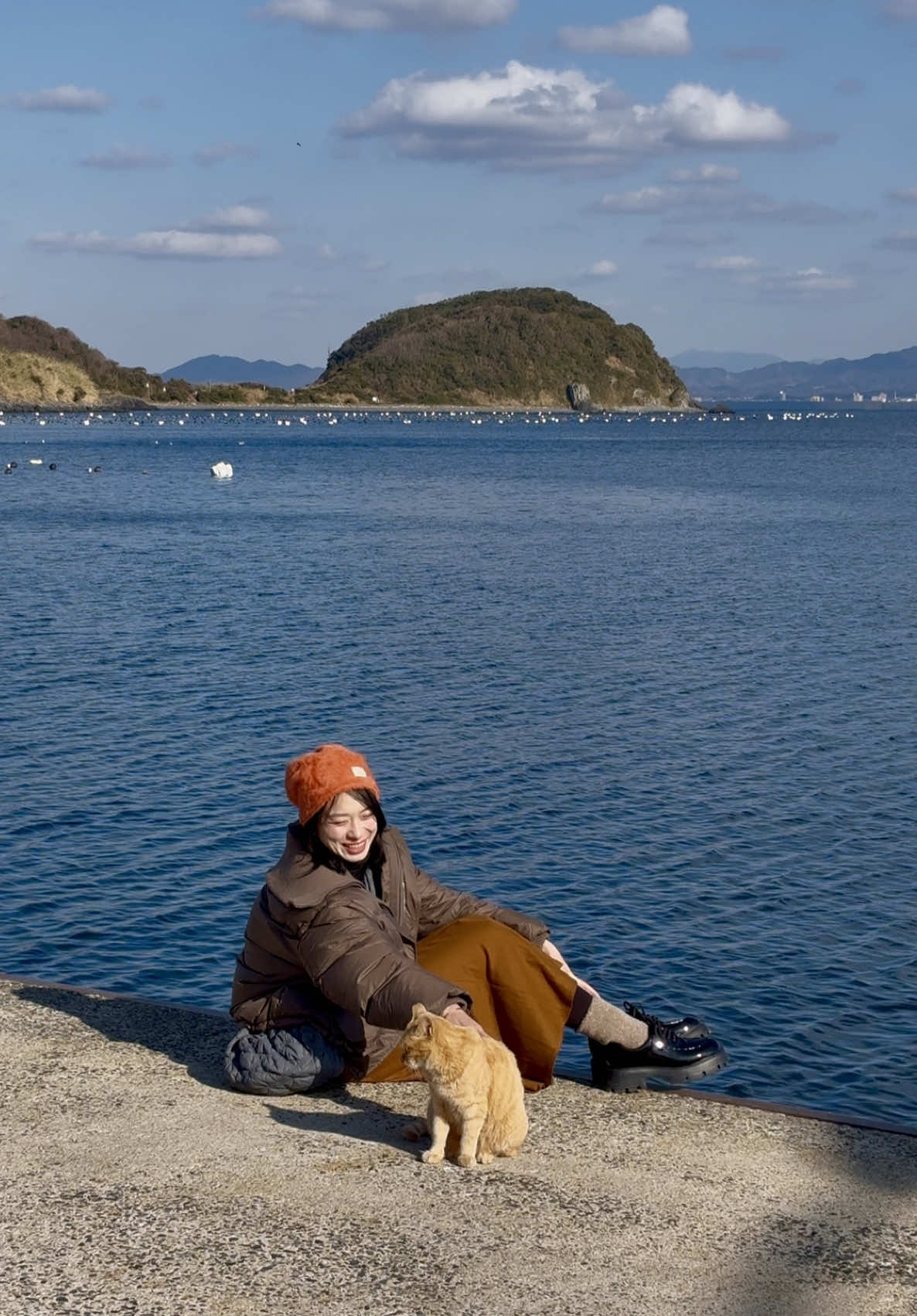 น้องแมวที่ญี่ปุ่นน่ารักมากกก พิกัด : Ainoshima Island 🐈 🏝️  . . #tiktokพาเที่ยว #เที่ยวญี่ปุ่น #ainoshima #ทาสแมว #ญี่ปุ่น 