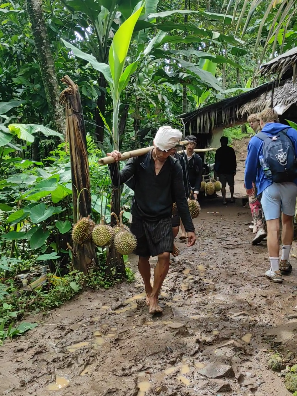 Orang orang Baduy dalam akan menjual Durian ke Ciboleger.  .  .  .  .  #banten #sukubaduy #baduy #Baduycantik #Wonderfulindonesia #fyp #Banten #wonderfulindonesia #baduyluar 