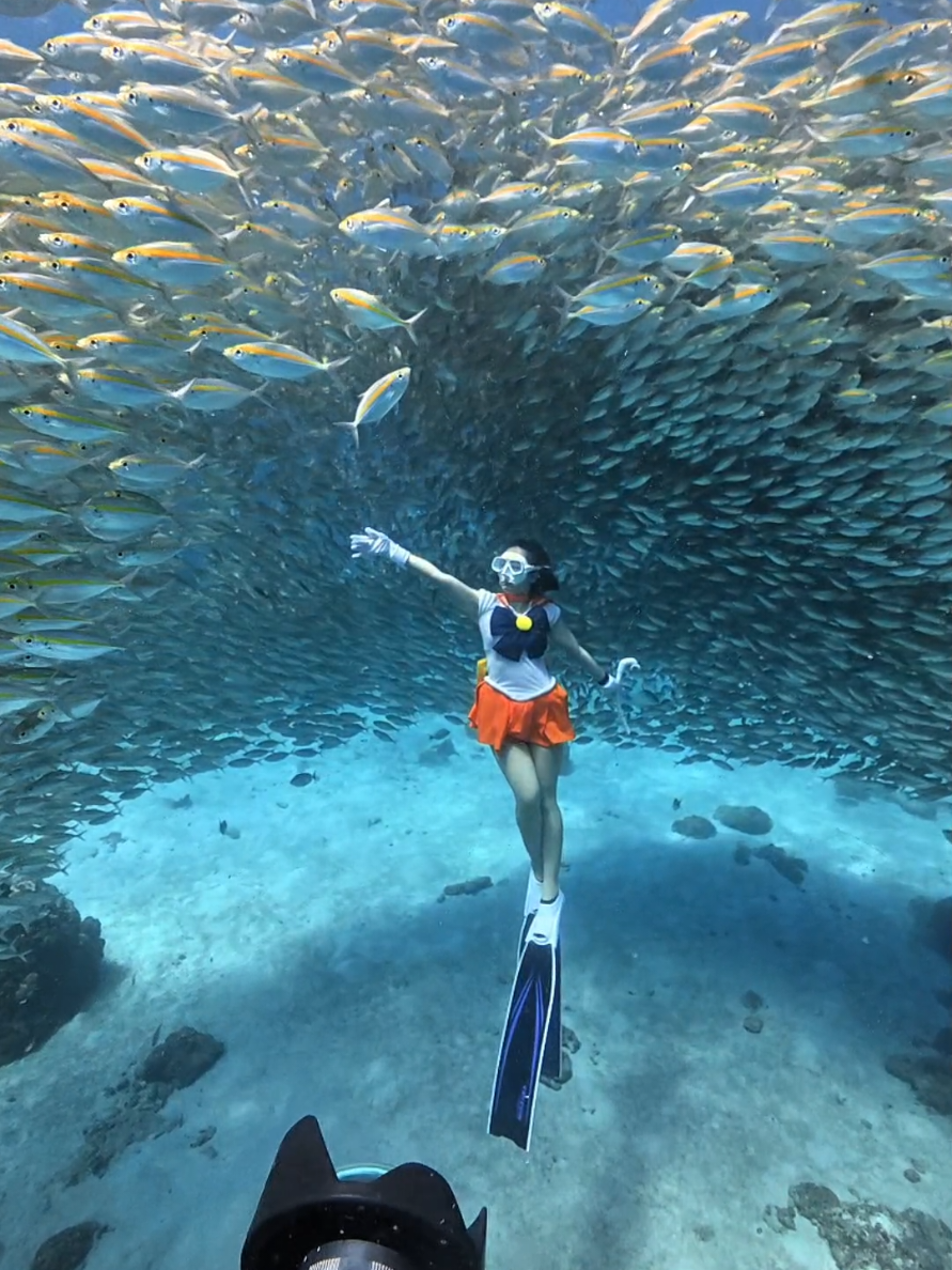 🐠🌊🧜‍♀️🐠#freediving  #Underwater #Divehouse #เรียนฟรีไดฟ์ #ฟรีไดฟ์ #สอนฟรีไดฟ์กทม#freedive 