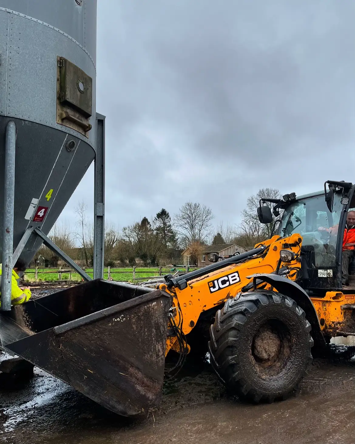 🐮🚜 #farmers #ukfarming #somerset #jcb #tractor #morningroutine #fyp #farmgirl #viral #foryoupage #tractors #farm #farming @JCB @CoachingbyRob @clare martin @erin.m97 
