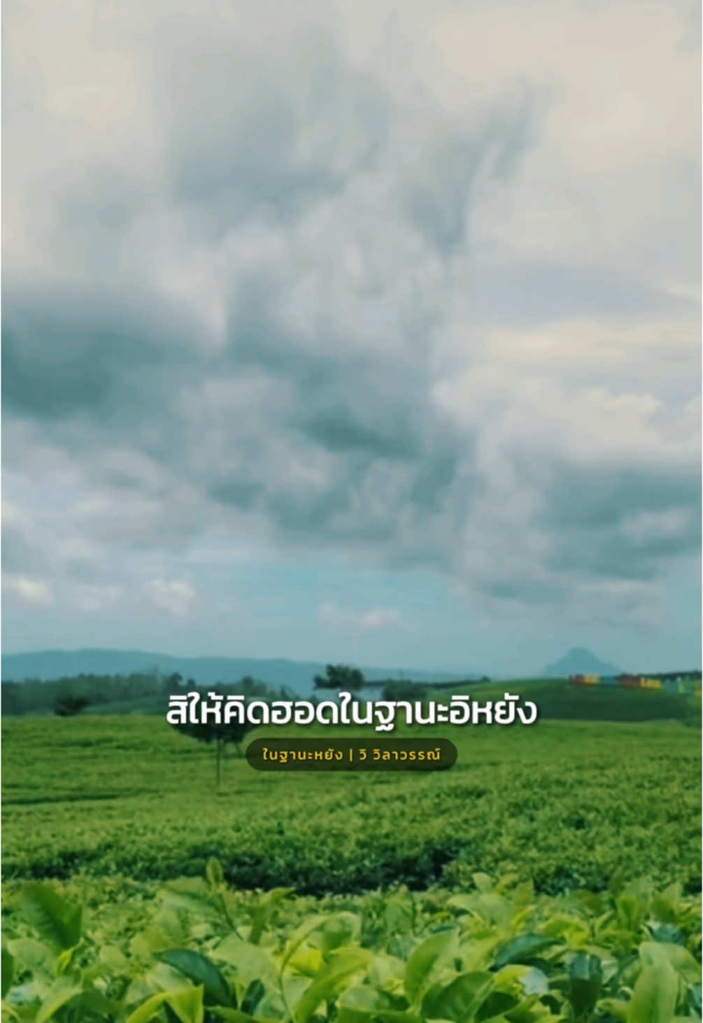 #ในฐานะหยัง #วิวิลาวรรณ์ #เพลงเพรา #เพลงดังtiktok #เพลงฮิตในtiktok #เพลงลงสตอรี่ 