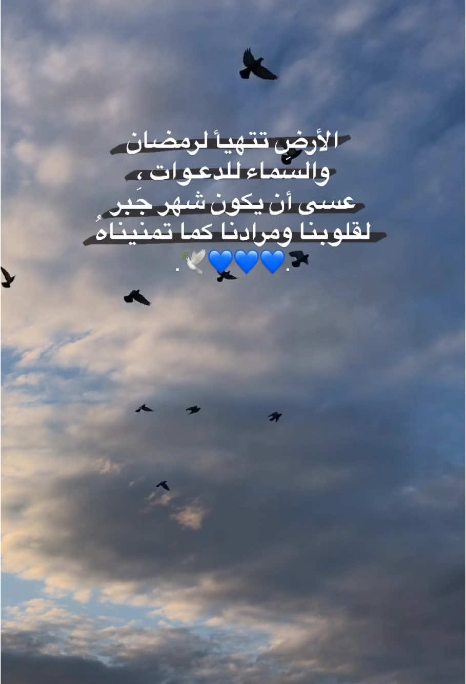 أقتربت أجمل ثلاثين يوم في السنة💙 #اللهم_بلغنا_شهر_رمضان #شهر_رمضان 