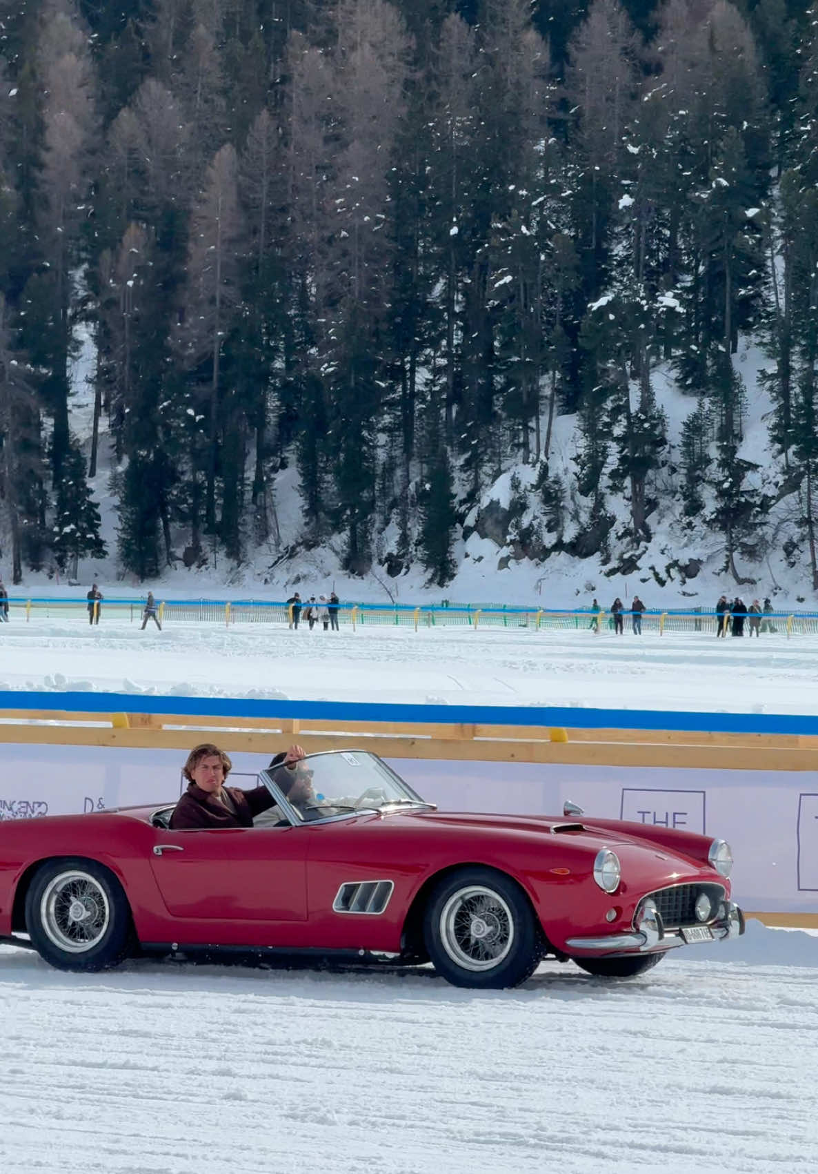 Horsepower in the ICE❄️ #theice #saintmoritz 