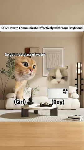How to Communicate Effectively with Your boyfriend #foryoupage❤️❤️ #tiktok #catmeme 