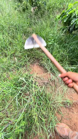 Triando café na enxada#agro #cafeicutura #satisfatório #capina #🤠 