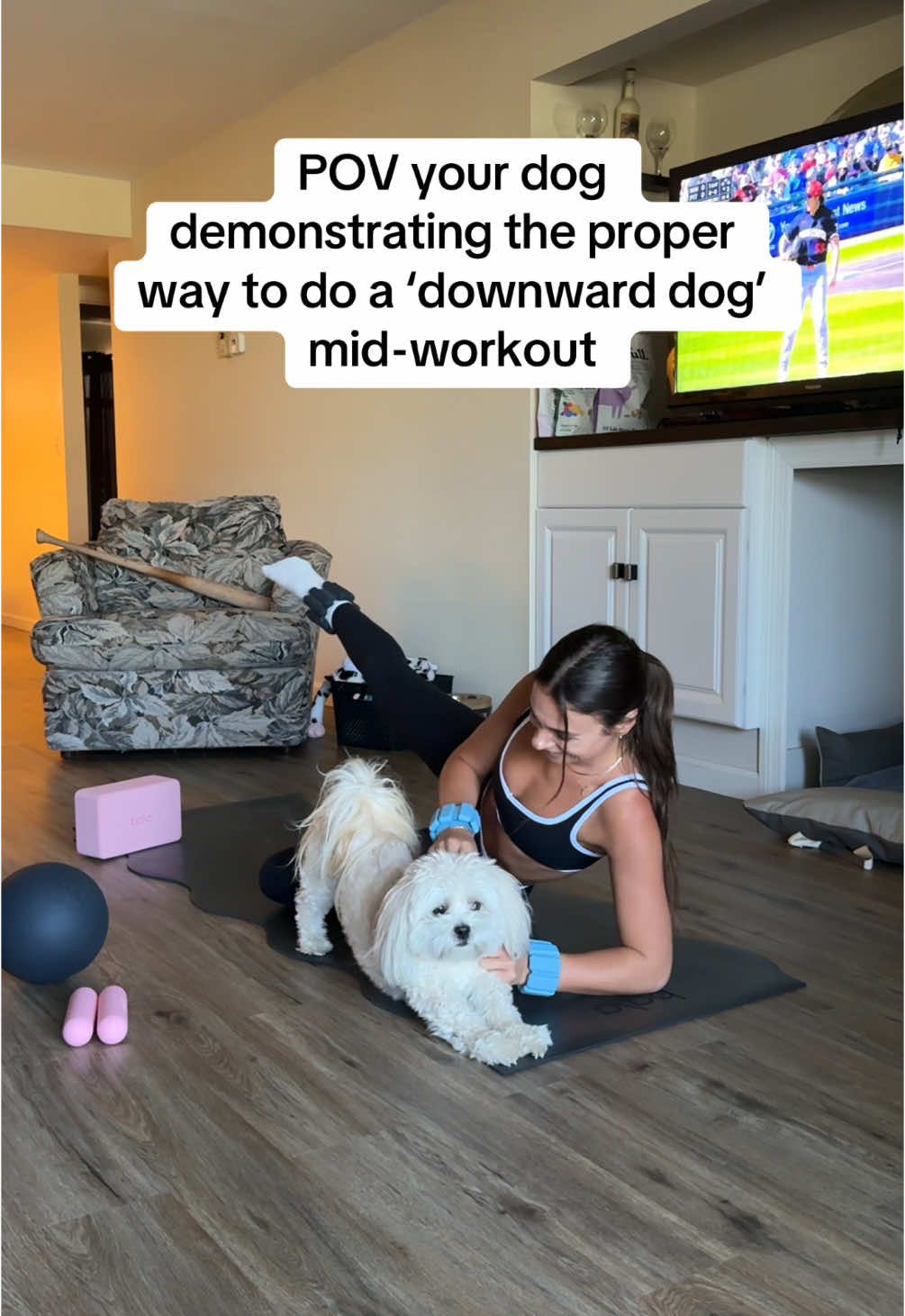 cannot believe I caught this on camera. he literally got right onto the yoga mat to do it 