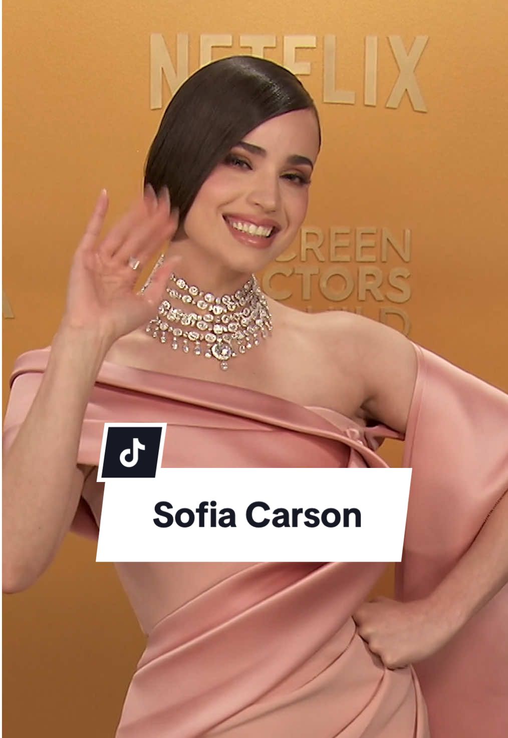 We hope you know how beautiful Sofia Carson looks at the #SAGAwards. #AwardsSeason